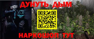 индика Будённовск