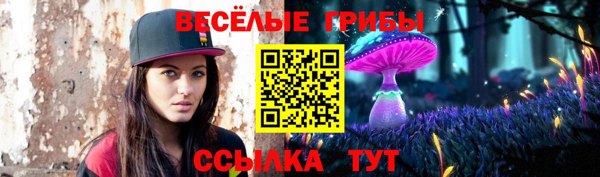 Псилоцибиновые грибы MAGIC MUSHROOMS Ступино